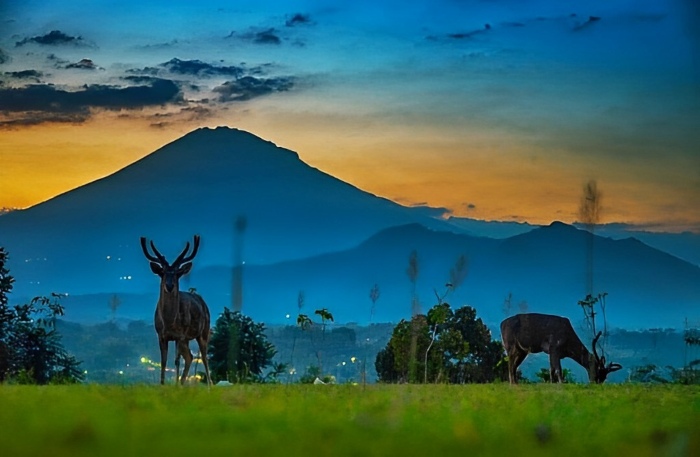 Selain Borobudur, ini 30 Destinasi Wisata Favorit di Magelang