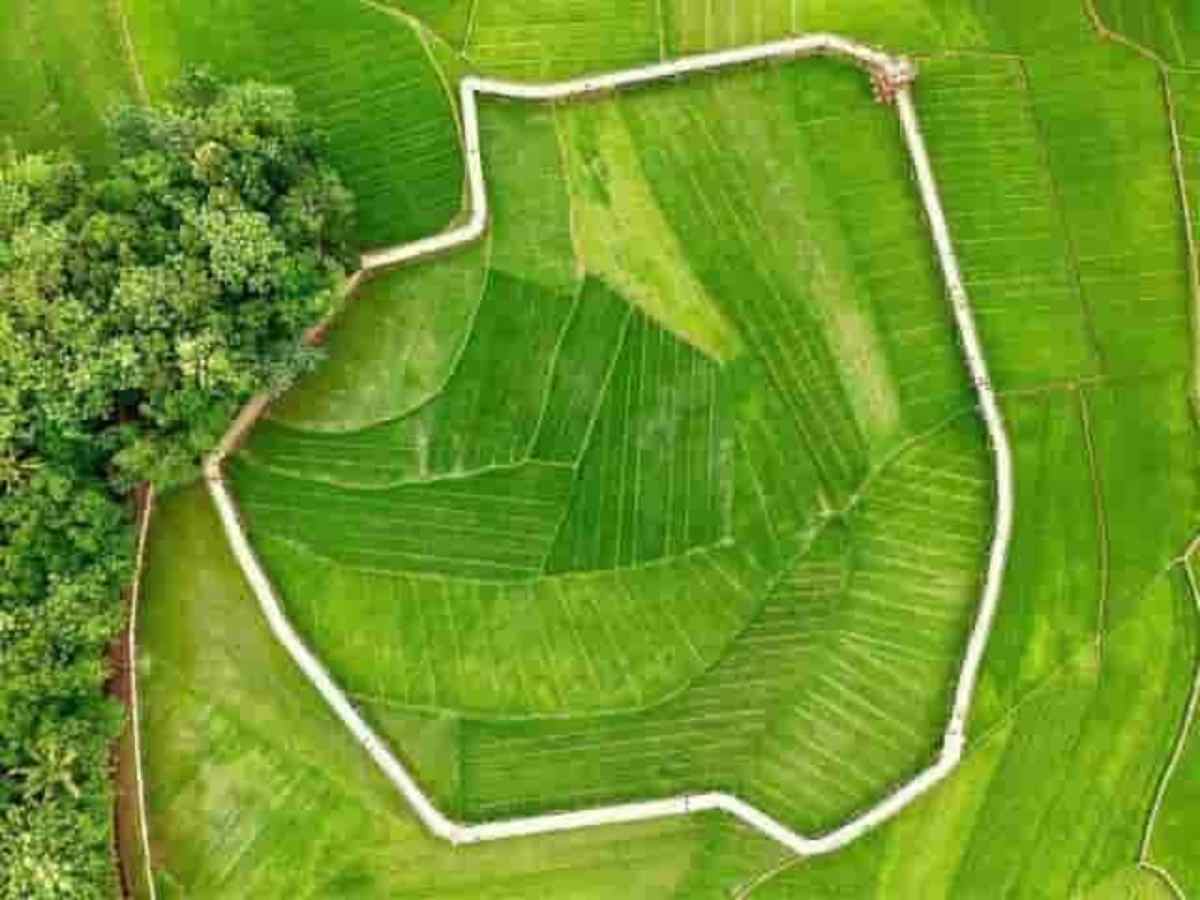 wisata sawah-Jelajah Sawah Pertanian Songgo Langit