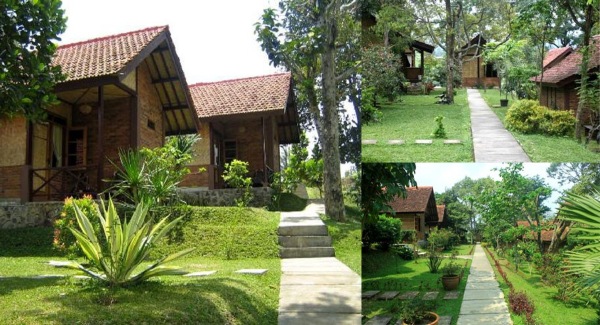 wisata puncak-desa wisata wisata puncak-desa wisata