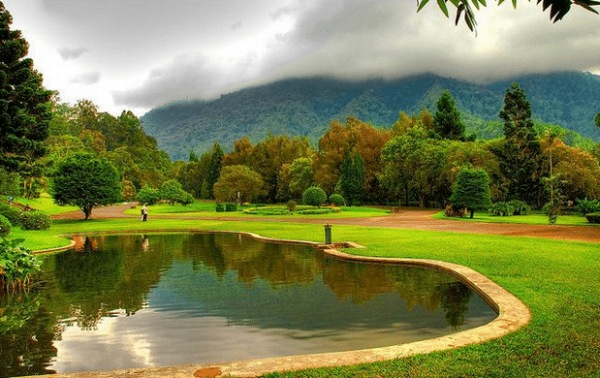 wisata puncak-wisata agro wisata puncak-wisata agro