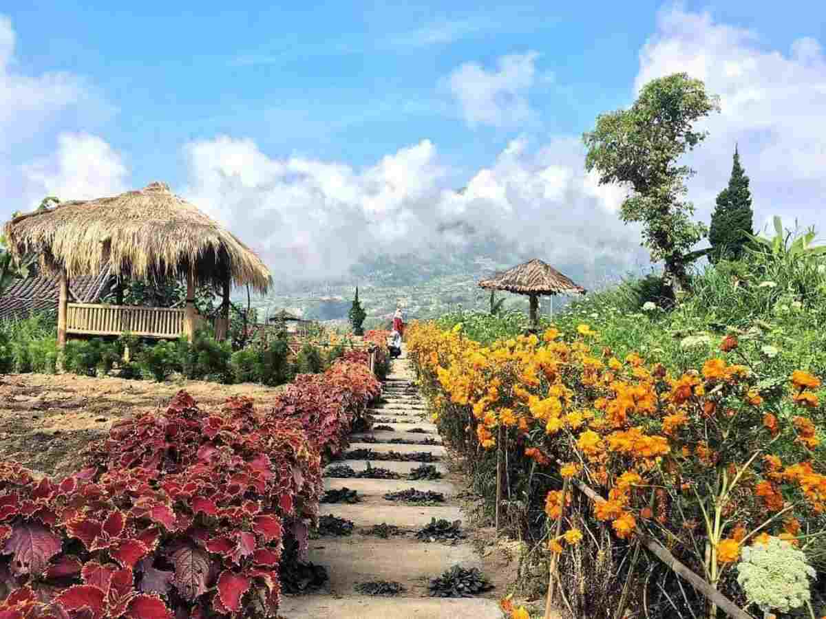 wisata solo_Tretes Taman Tani wisata solo_Tretes Taman Tani