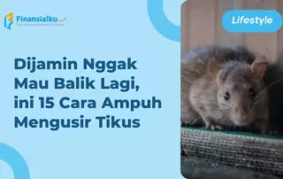 15 Cara Mengusir Tikus yang Paling Ampuh dan Mudah