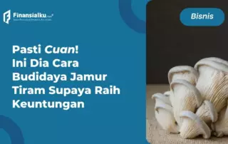 budidaya jamur tiram