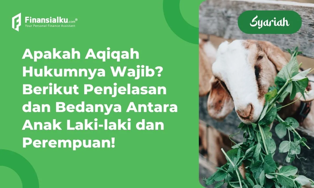 hukum aqiqah