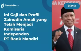 Gaji dan Profil Zainudin Amali