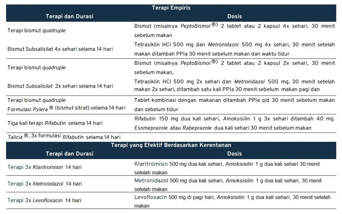 terapi h pylori