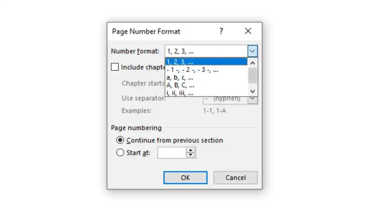 cara membuat halaman di Word 7_Memilih jenis angka untuk nomor halaman