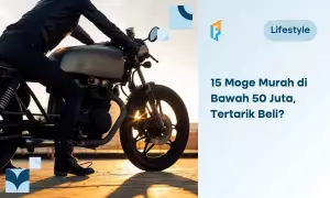 moge murah