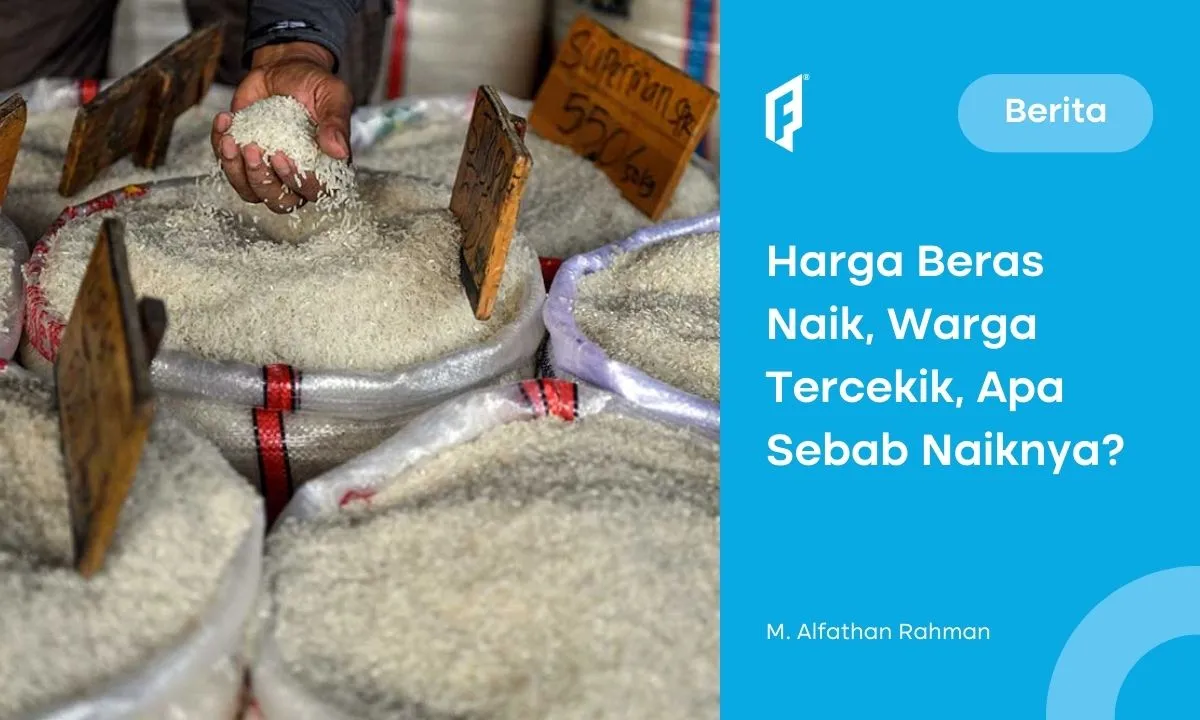 Harga Beras Naik hingga Langka, Apa Biang Keroknya?