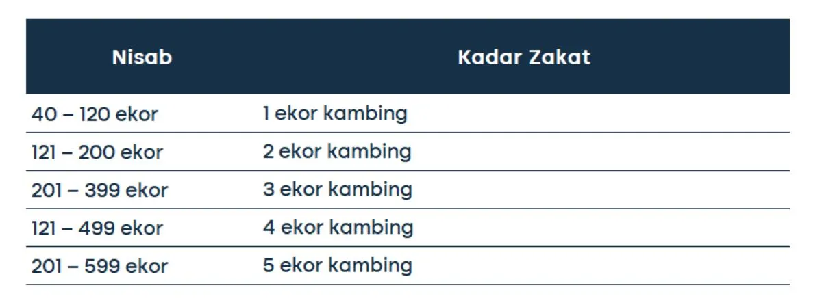 cara menghitung zakat mal_domba