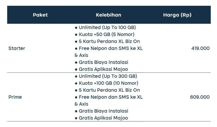 10 XL Satu Biz