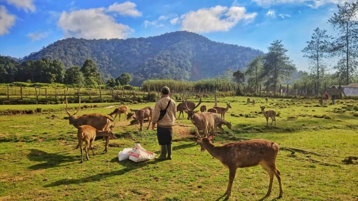 Wisata alam Bandung 3