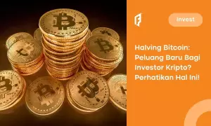halving bitcoin