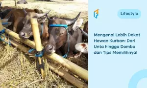 jenis hewan kurban