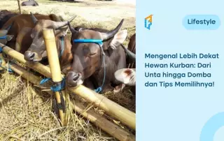 jenis hewan kurban