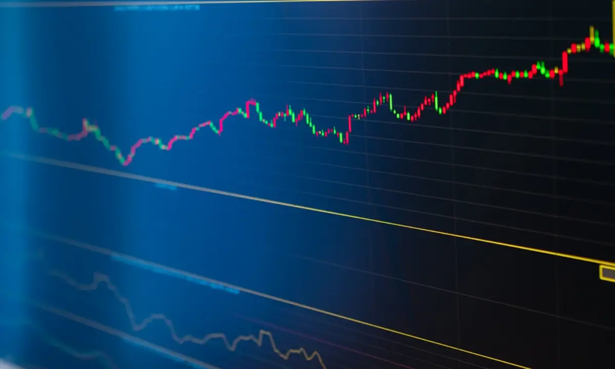 growth investing