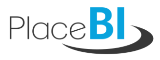 PlaceBI logo