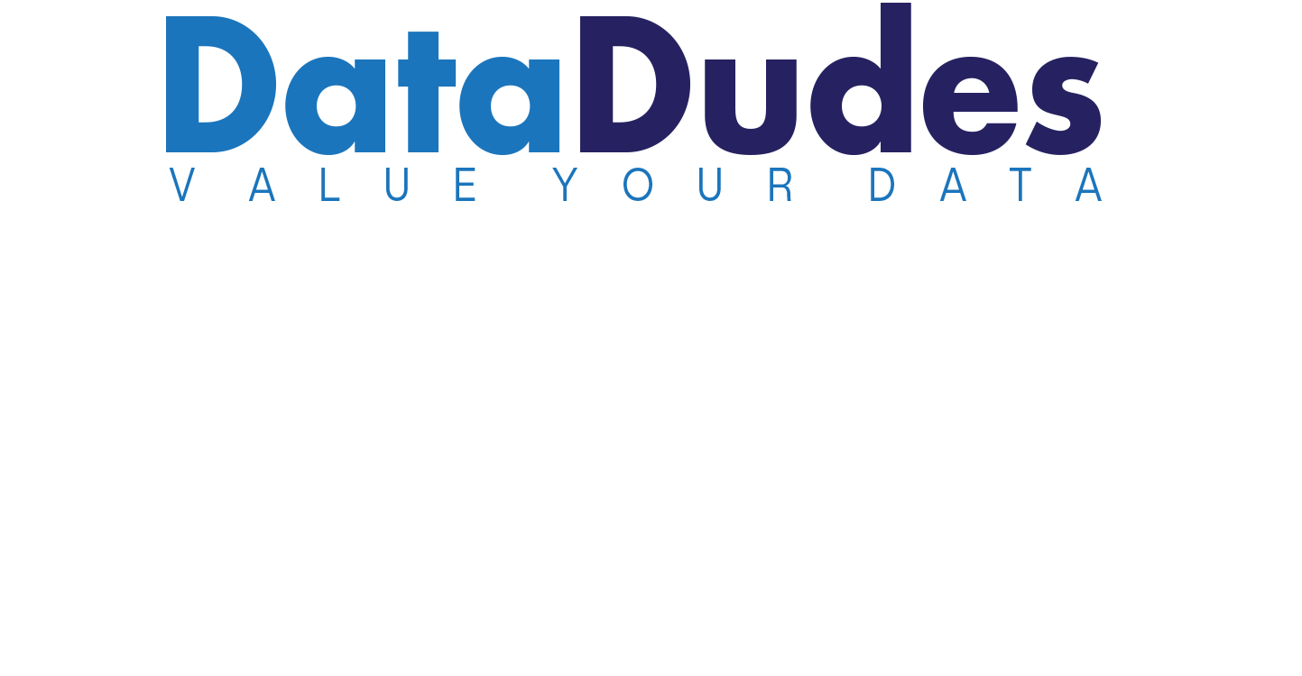 DataDudes logo