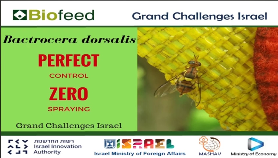 Grand Challenges Israel project, in India logo