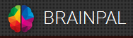 BrainPal logo