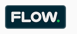 Flow Security logo