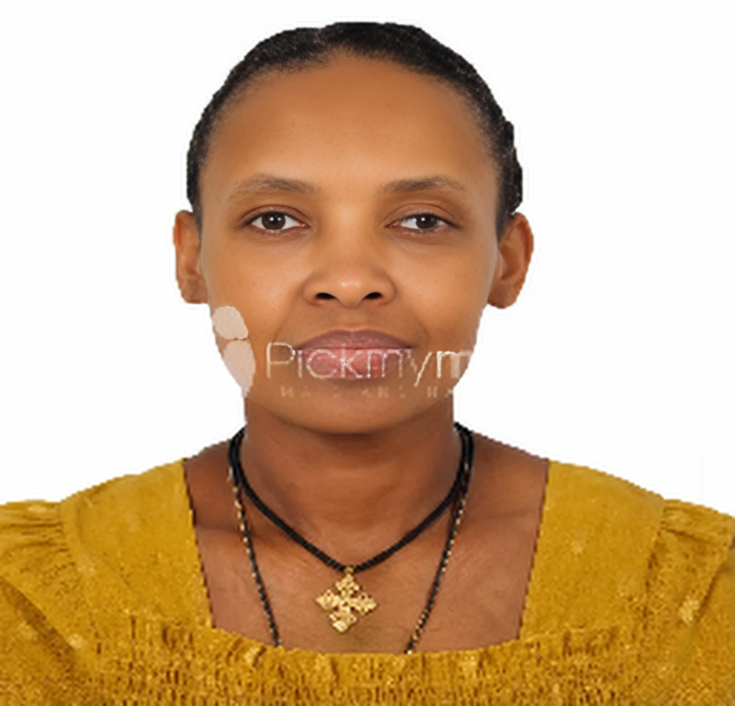 Alemnesh - Ethiopian Maid