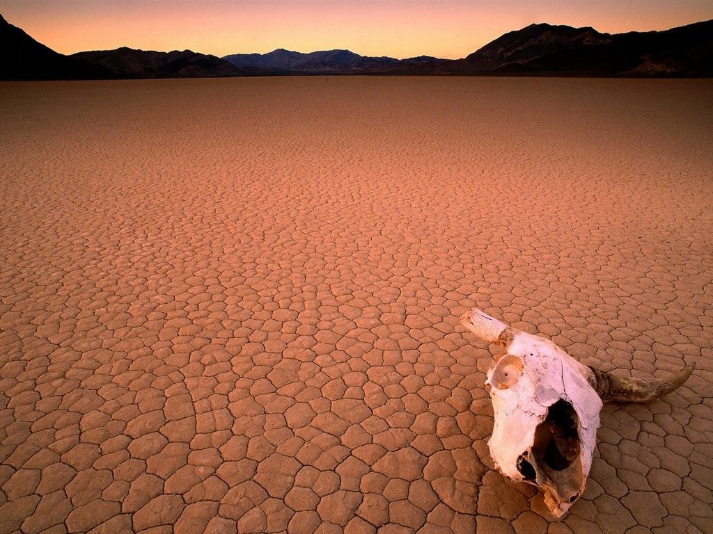 EL VALLE DE LA MUERTE