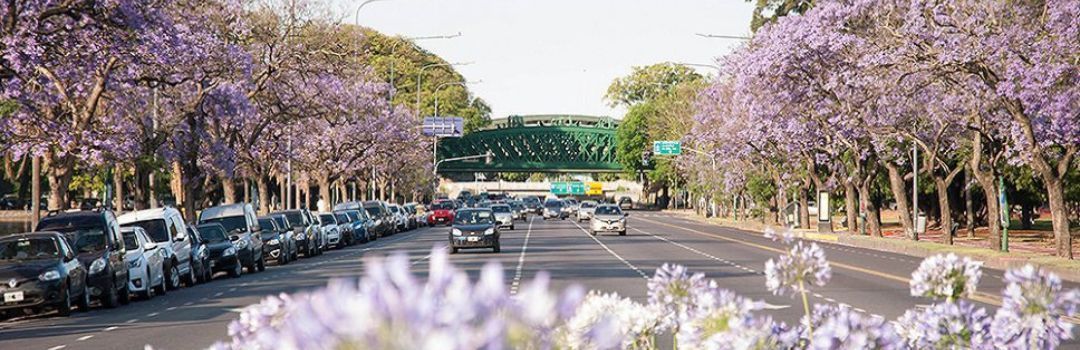 Explorando la Primavera en Buenos Aires: Un recorrido cultural.