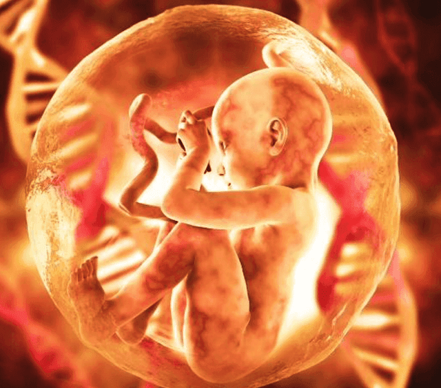 Evolución tecnológica y embriones a la carta