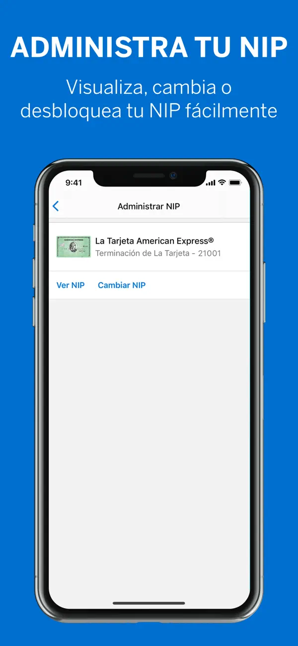 American Express app shot 1