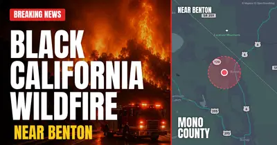 California wildfire reported in Mono County