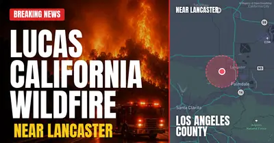 California wildfire reported in Los Angeles County