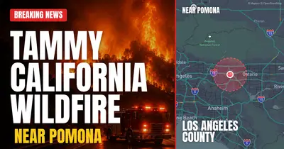 California wildfire reported in Los Angeles County