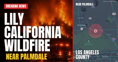 California wildfire reported in Los Angeles County