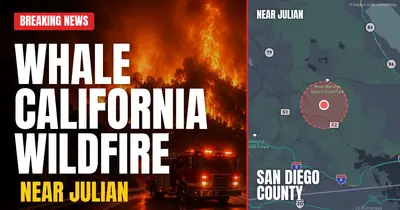 California wildfire reported in San Diego County