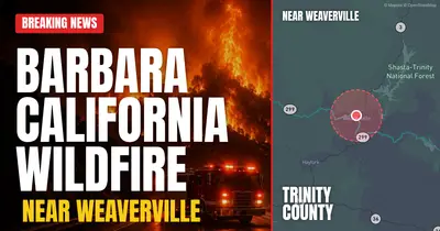California wildfire reported in Trinity County