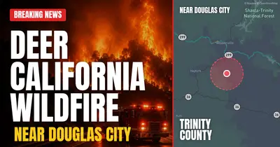 California wildfire reported in Trinity County