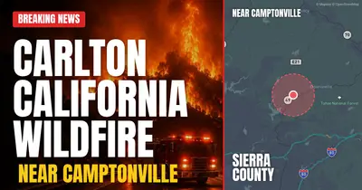 California wildfire reported in Sierra County