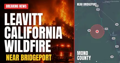 California wildfire reported in Mono County