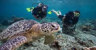 Trip Thai Tour - Thailand's Tour Agency