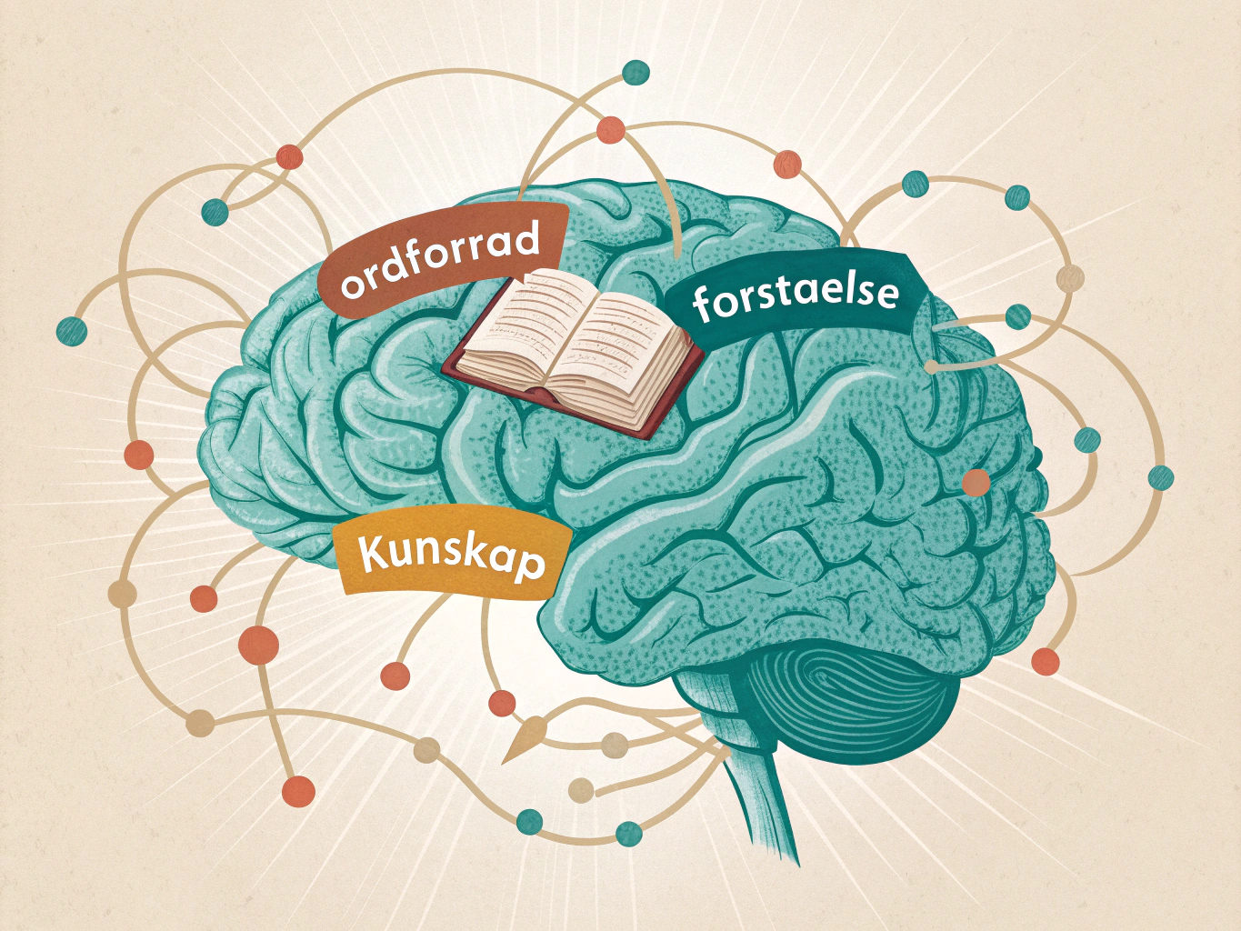 Ordförståelse högskoleprovet visualisering av ordkunskap och språk