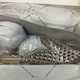 View full size image