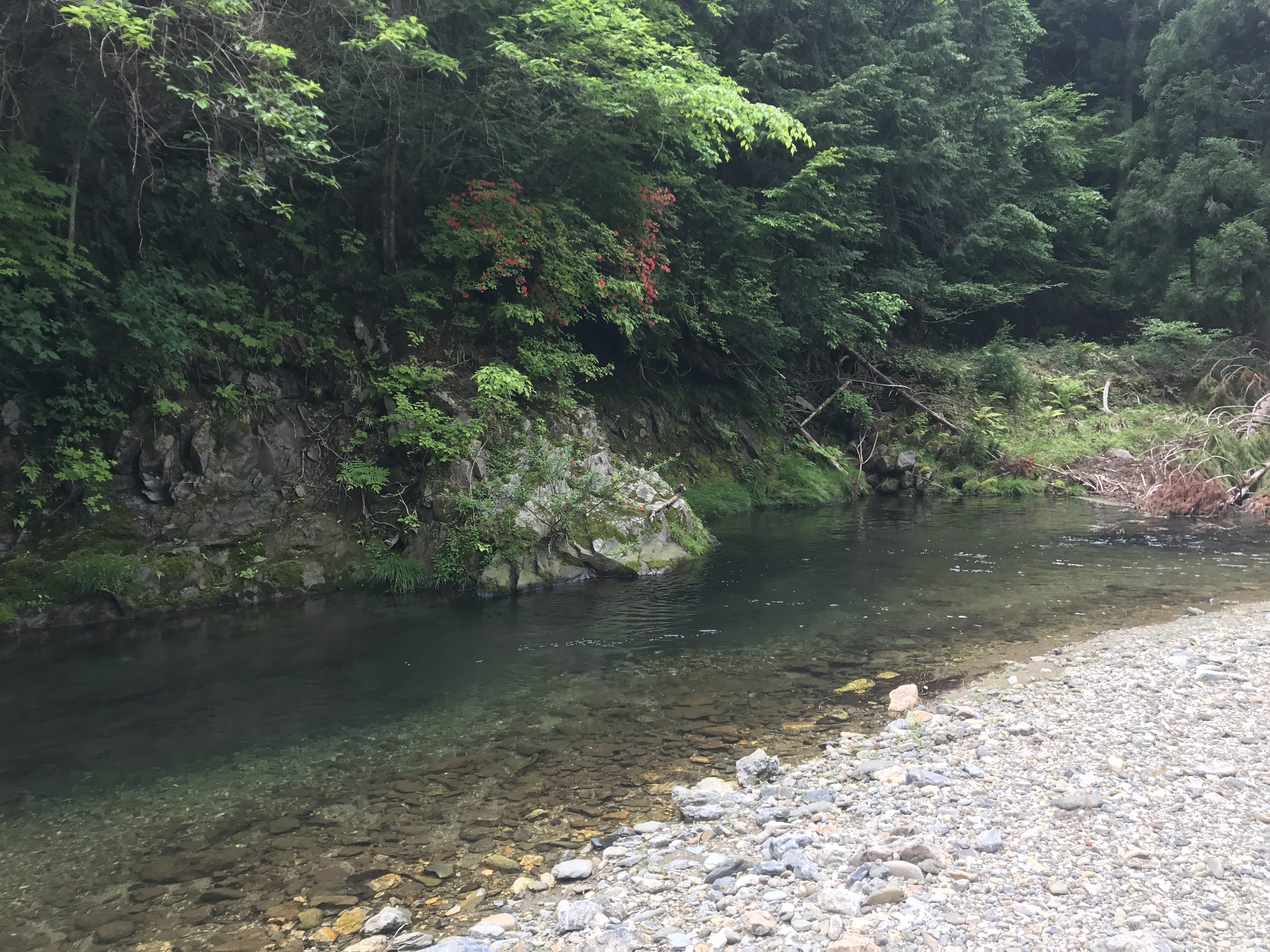 京都 渓流 釣り