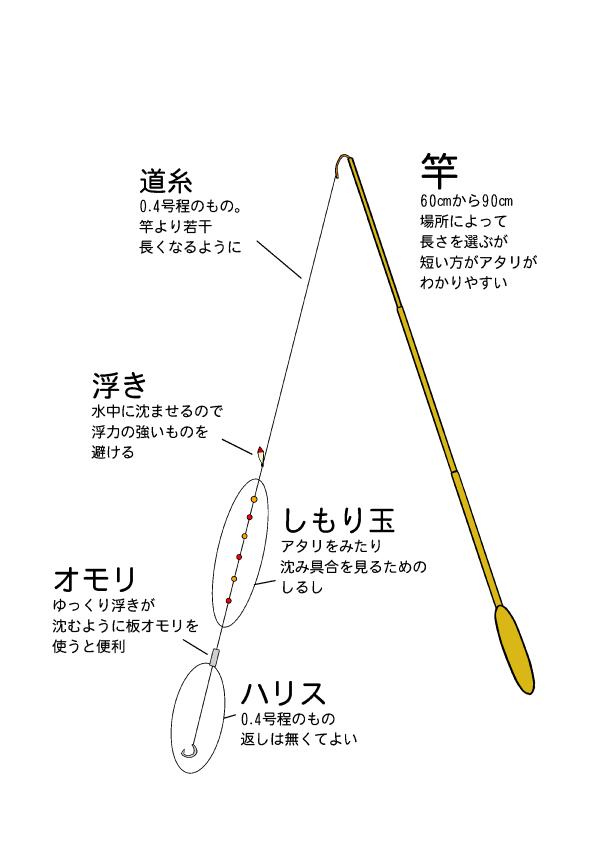 簡単なタナゴ釣りを紹介します 初心者にオススメ つりチケマガジン