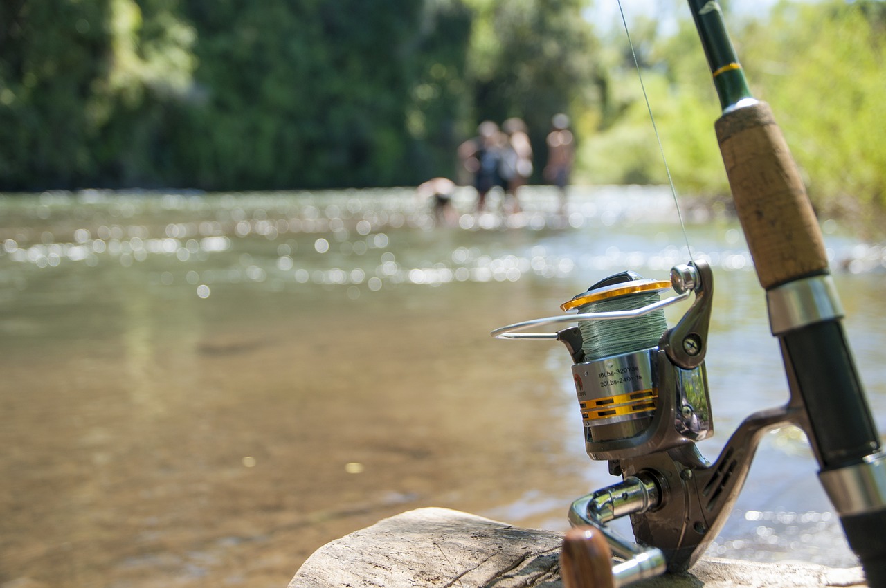 川釣りの種類と 選ぶべき竿は 初心者向け つりチケマガジン