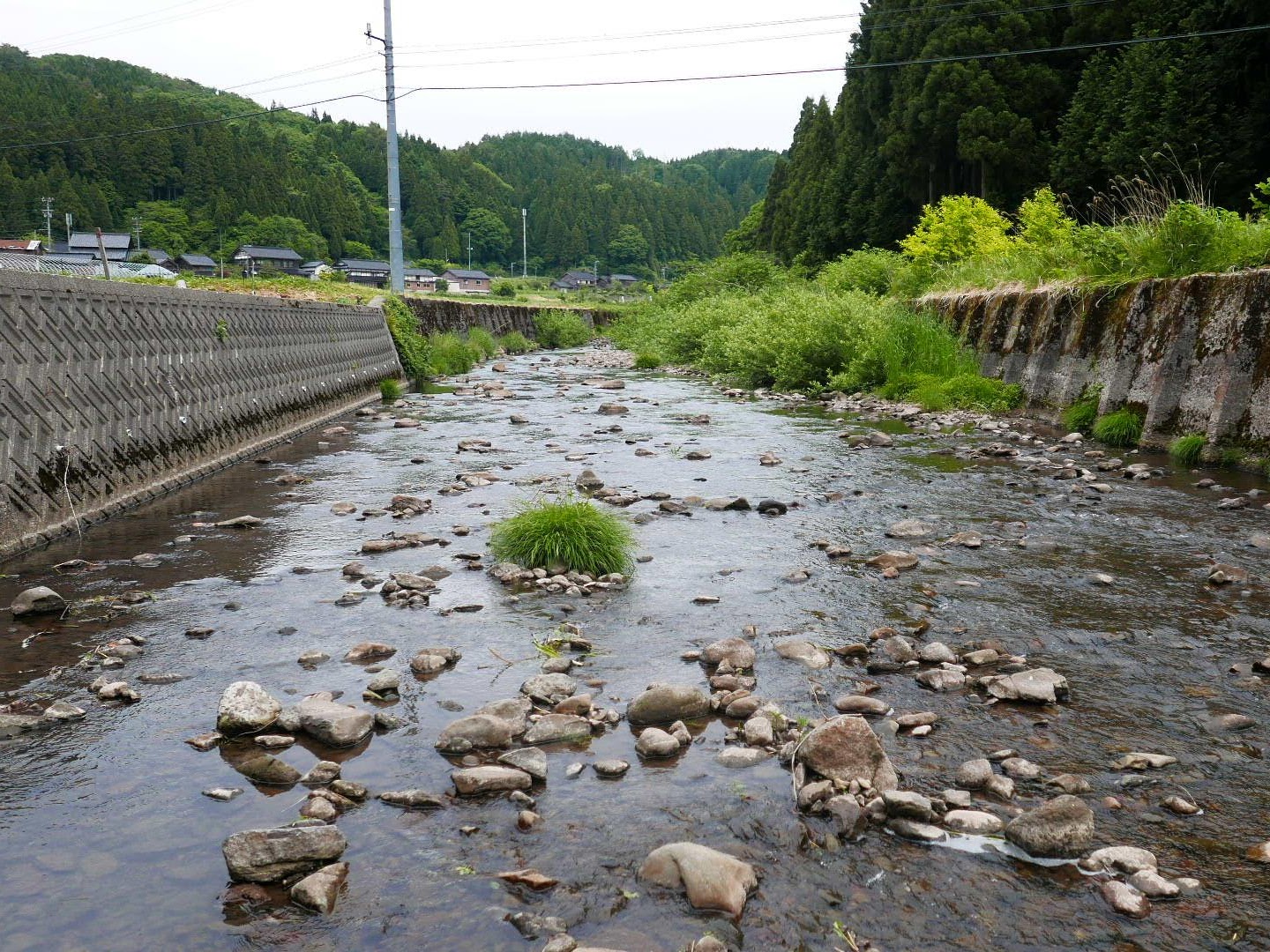 能登半島周辺の里川でテンカラ釣り つりチケマガジン