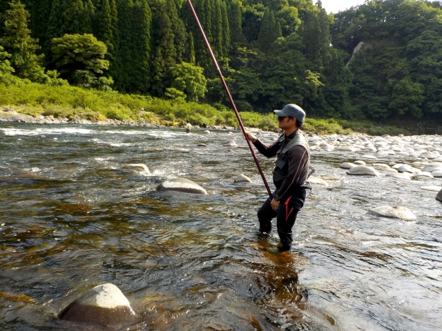 鮎の友釣り初心者必見 鮎釣りの仕掛けやルールについて解説 つりチケマガジン