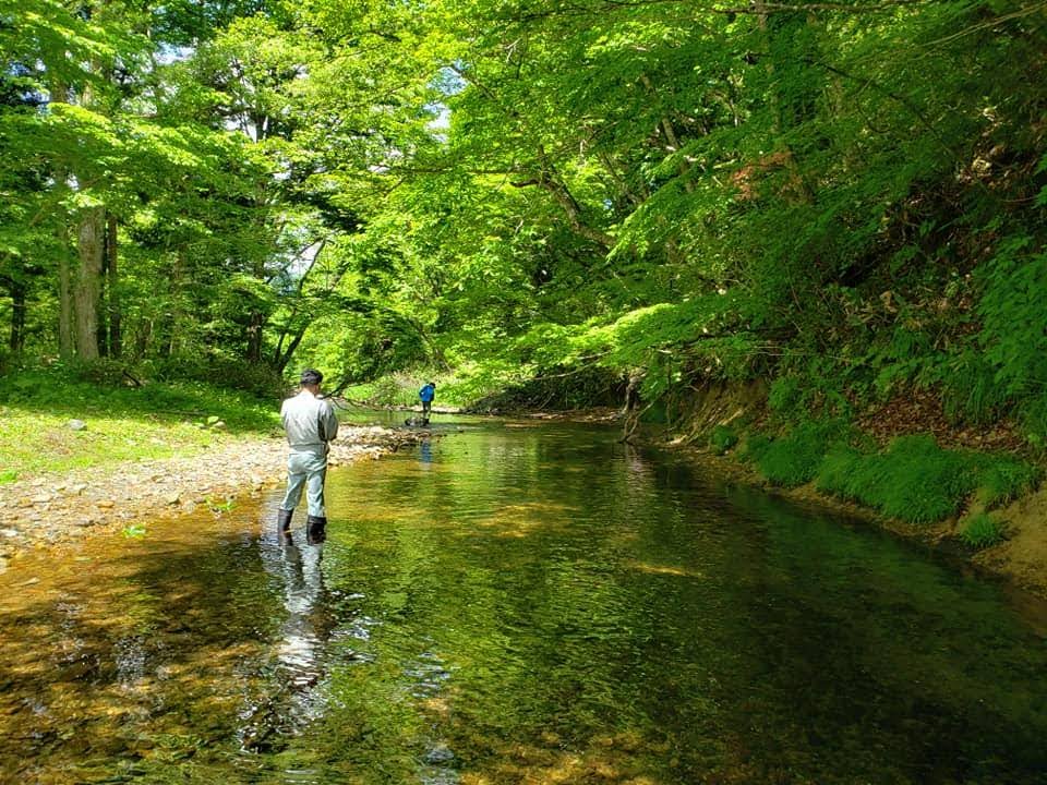 岩手県の渓流釣り人気スポット３選 つりチケマガジン