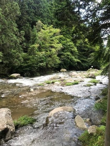 野原川観光センター 愛知県 テンカラ女子管理釣り場へ行く つりチケマガジン