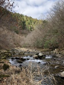 解禁時の段戸川